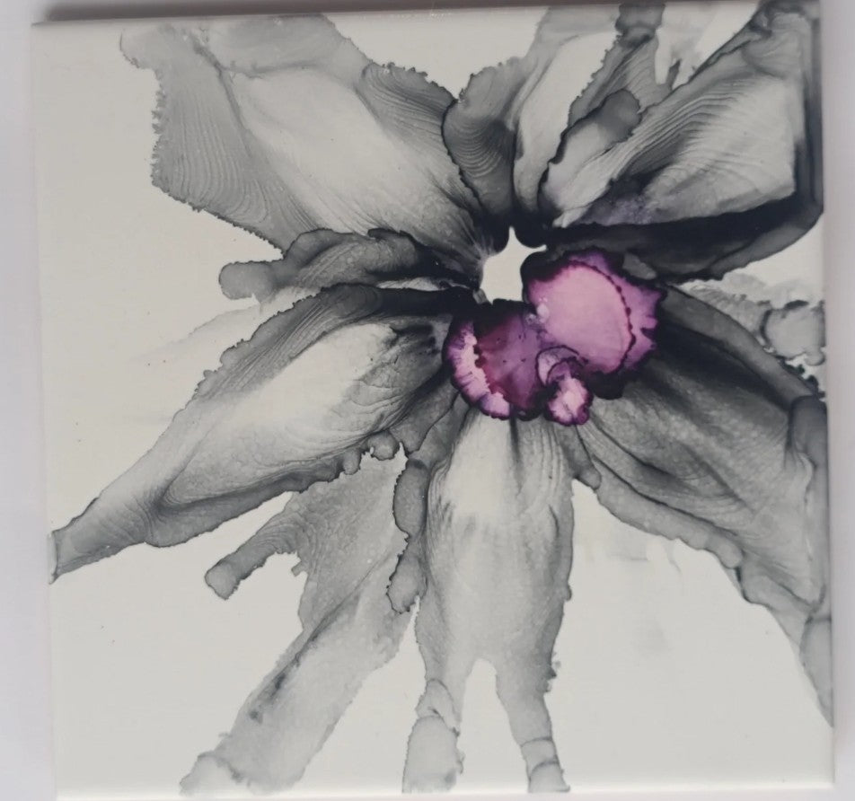 Dusk Petal Bloom 6 x 6